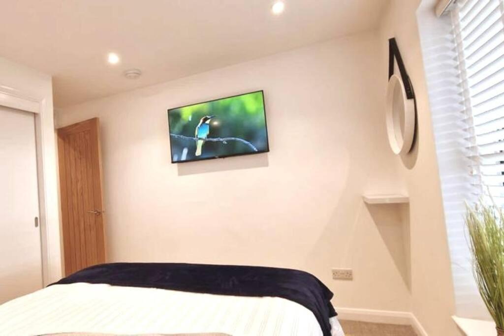 Ferienwohnung Ocean 8 Torquay Exterior foto
